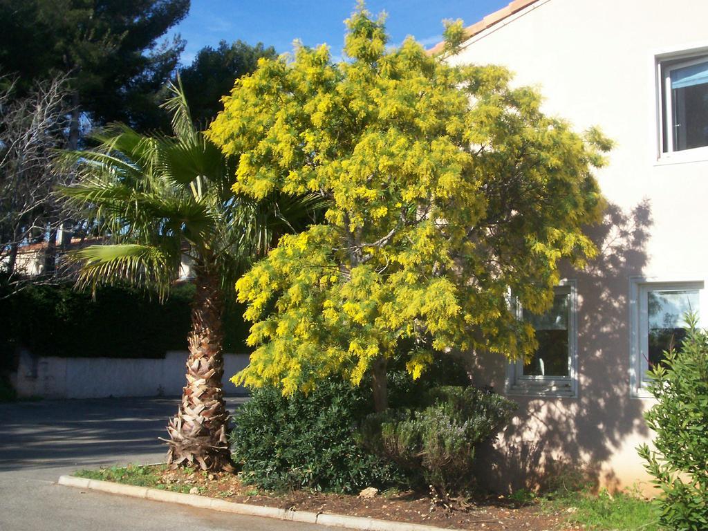 Stars Antibes Hotel Biot Exterior photo